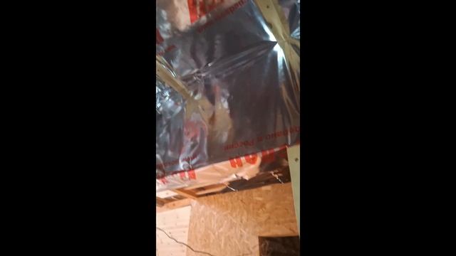 1000029275.mp4 (Собака наблюдает за креплением имитации бруса внутри дома А-фрейм)