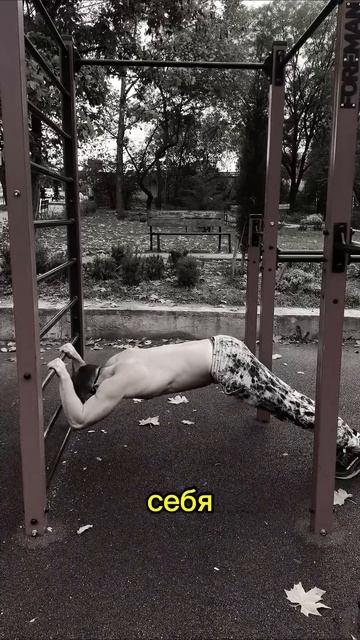тренировка