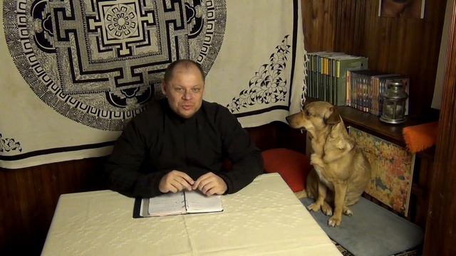 Шоу Дао & Медведев  Атака клонов и немного о стриме