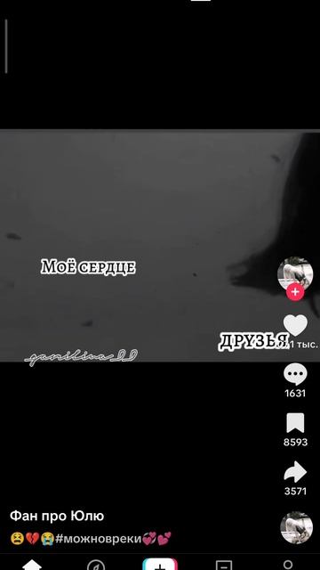новое