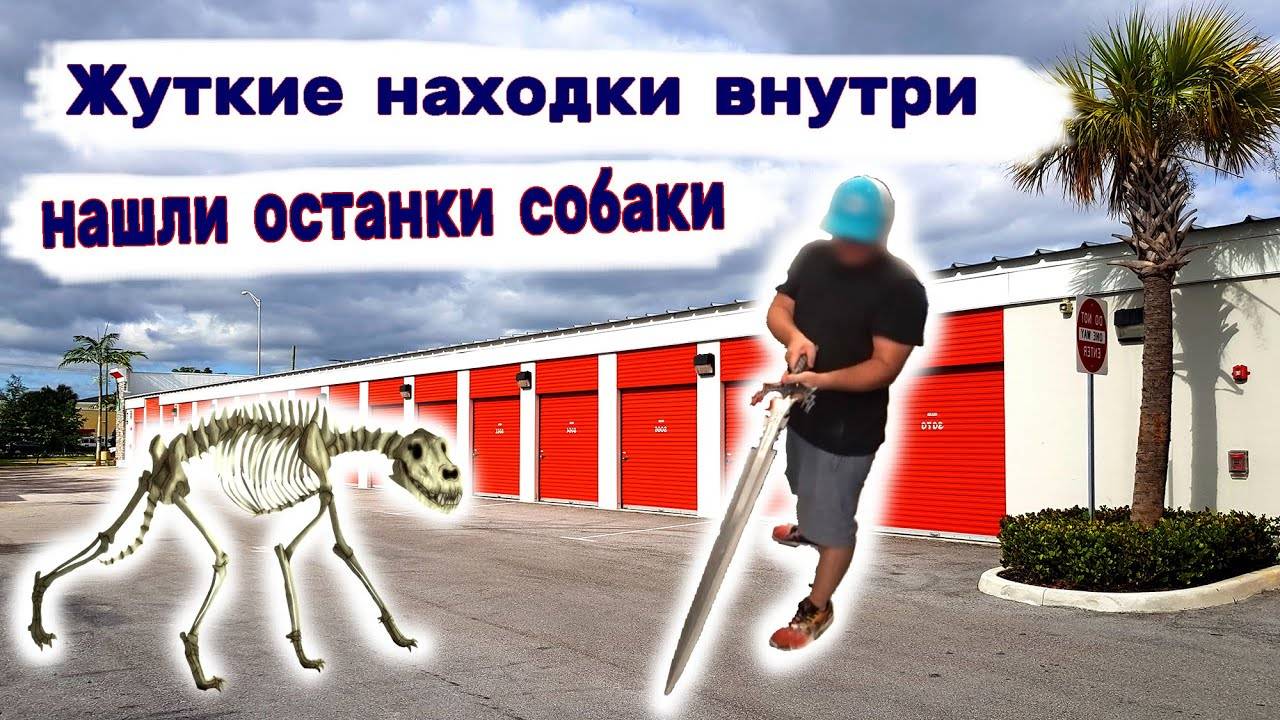 Жуткие находки в брошенном контейнере. Нашли останки собаки внутри. Холодное оружие.