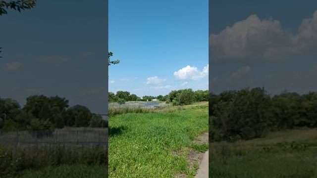 Красивое небо и парк,по дороге домой