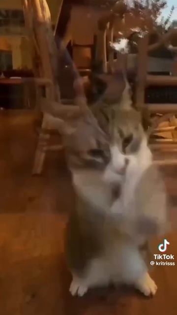 что то