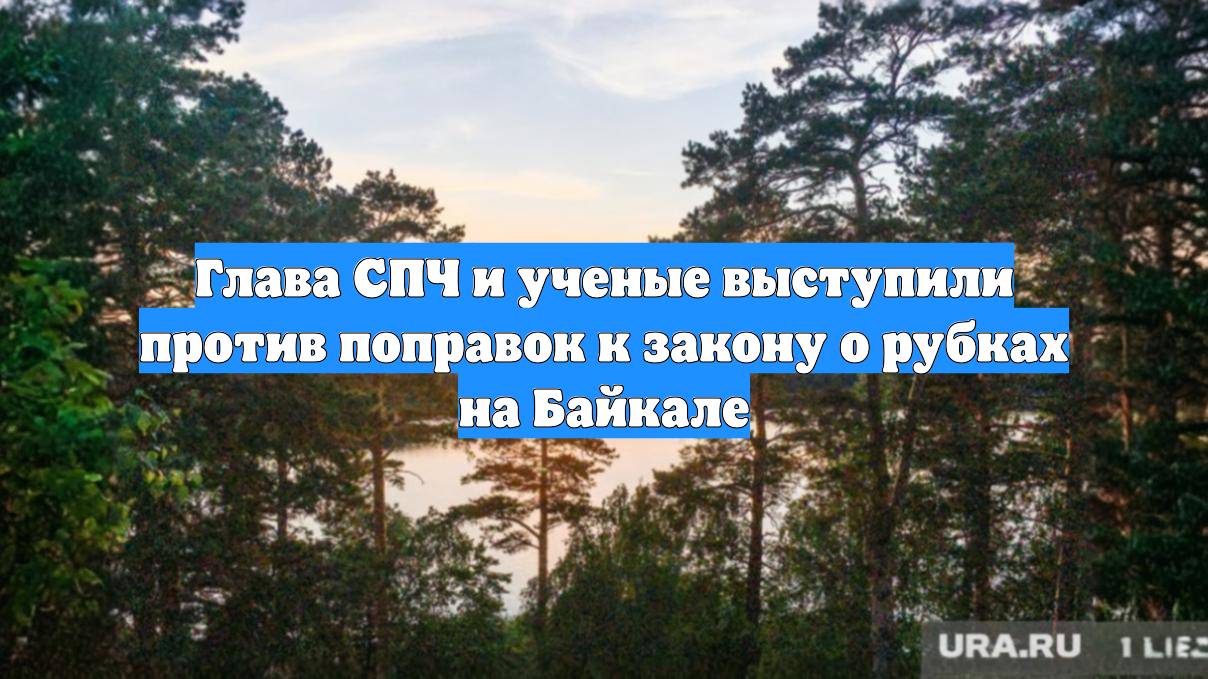 Глава СПЧ и ученые выступили против поправок к закону о рубках на Байкале