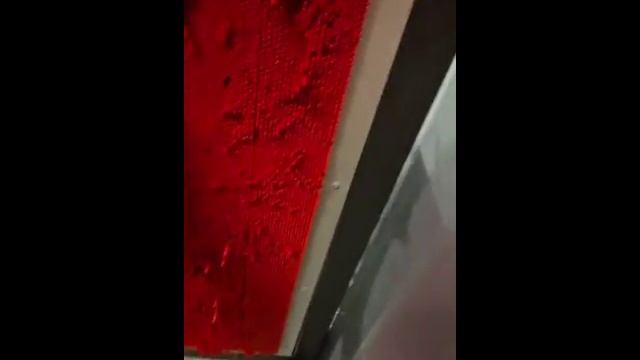 WhatsApp Video - 85