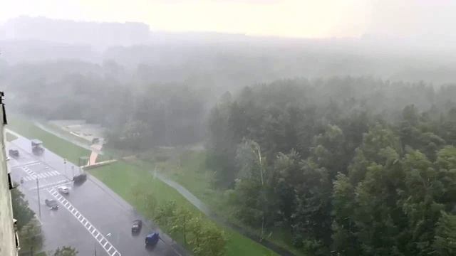 Ливень Салтыковский лесопарк, 15.07.2025