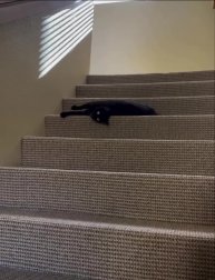 Подпишись 👉 https://vk.com/ykrasheniy_iz_kamny