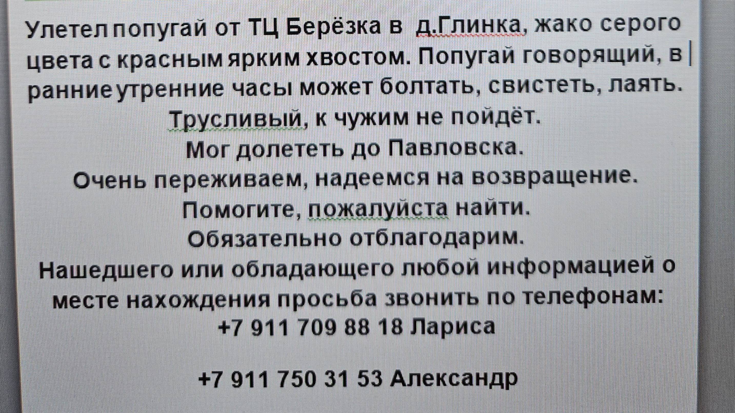 ПОМОГИТЕ   НАЙТИ,   УЛЕТЕЛ    ПОПУГАЙ !!!
д.Глинка, Тосненского района, Ленинградской  области