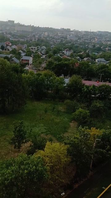 лайф жизнь 107