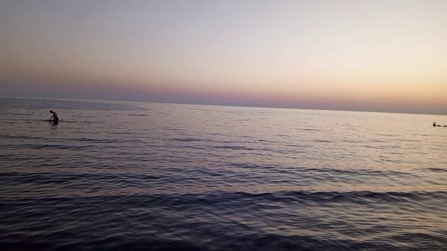 Море Анапа кошечка