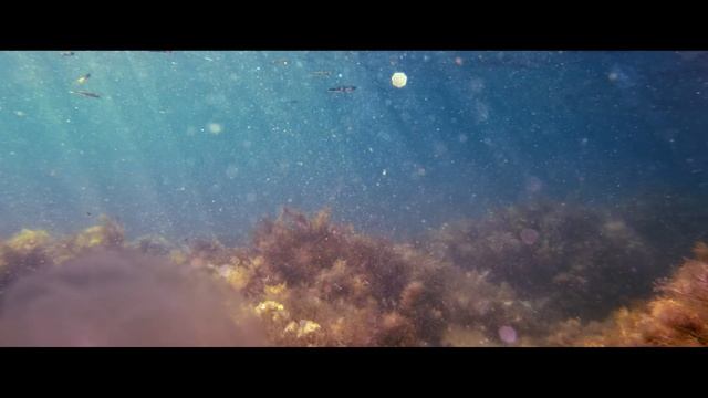 Заповедник Утриш