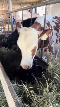 Подпишись 👉 https://vk.com/ykrasheniy_iz_kamny