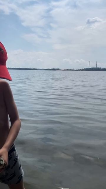 💲 Видео как я поймал Лягушку￼