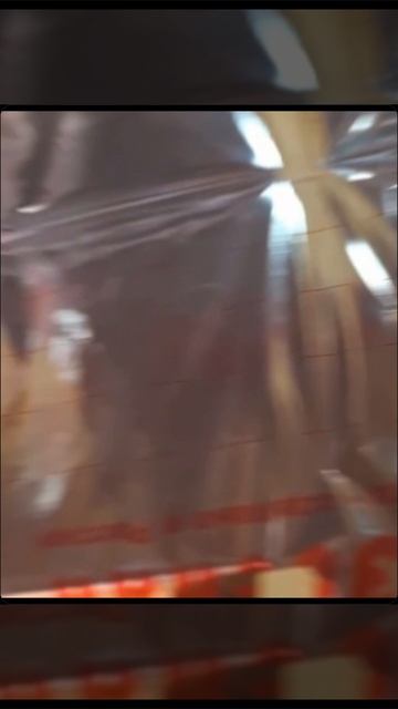 1000029279.mp4 (Собака наблюдает за креплением имитации бруса внутри дома А-фрейм)