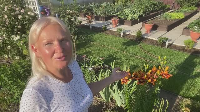 На даче в деревне🏡#Пятничный обзор сада🌳🌺#Купальный сезон, открыт#11июля2025#сад#дача#деревня