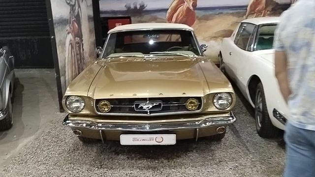 1000090058.mp4