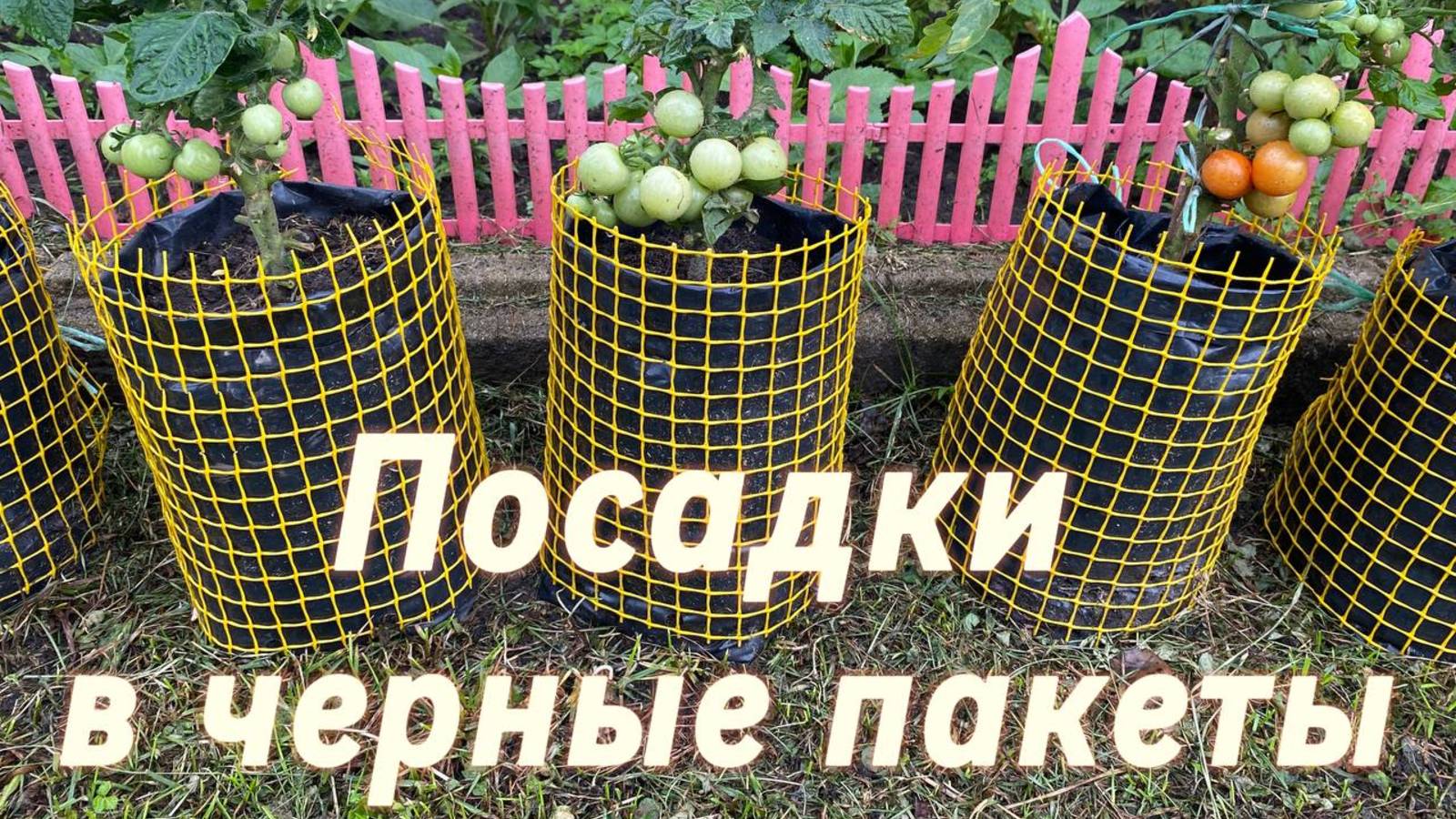 Мои посадки в ЧЕРНЫЕ ПАКЕТЫ! Обзор на 15 июля 2025 г. в Подмосковье!