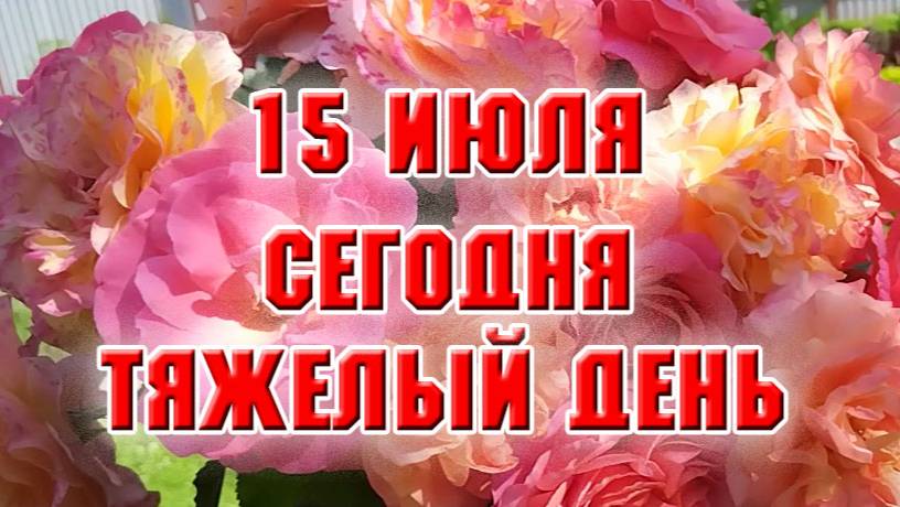 15 июля. Сегодня тяжелый день