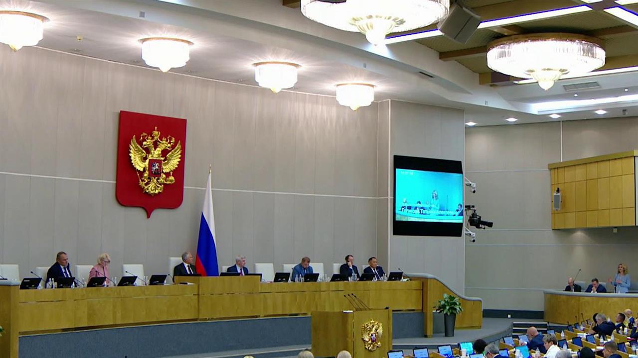 Вице-премьер Татьяна Голикова рассказала депутатам о поддержке семей с детьми
