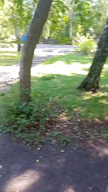 аппарат для белок пользуйтесь беспредельщики пушистые