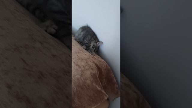 Счастье живет рядом с нами