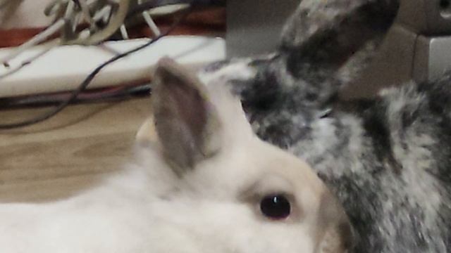 1000020024.mp4