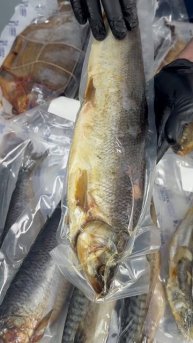 💙Прямо из цеха к вашему столу! Рыбные деликатесы от "Азбуки Севера"!💙