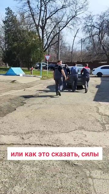 4 лошадиных силы #юмор #будниРаху #automobile #топ #автоледи #краснодар