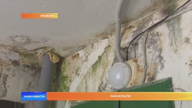 Накапали