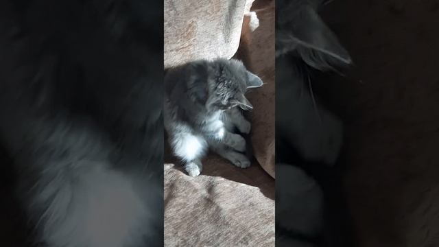 Счастье живет рядом с нами