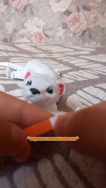 У меня появился шарнирный хорёк «Мона».
Тутор на шлейку 🦦🐾🫧