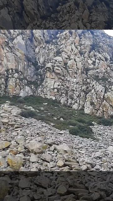 Aлтай