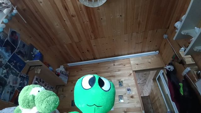снакомтес с зени🐊🐊