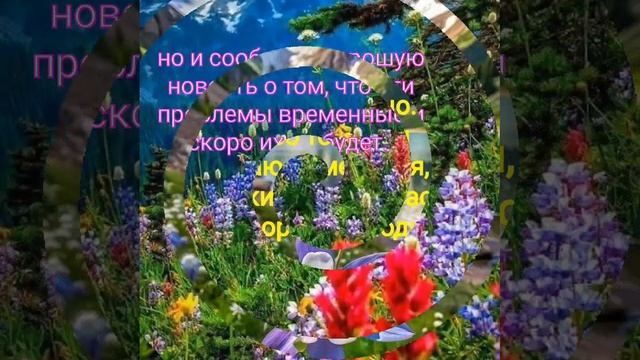 VID_20250716_104915_371.mp4