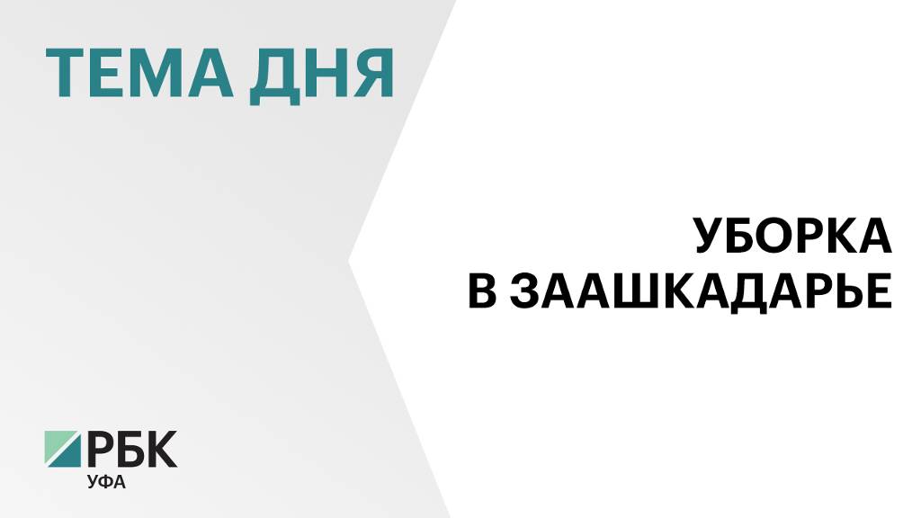 Жители Стерлитамака приняли участие в экологической акции по очистке берега реки Белая