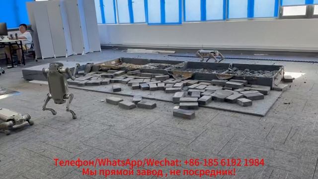 Удивительный четвероногий робот, полное демонстрация функций и возможностей