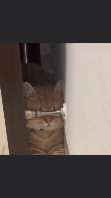 Если я их не вижу, то и они меня не видят