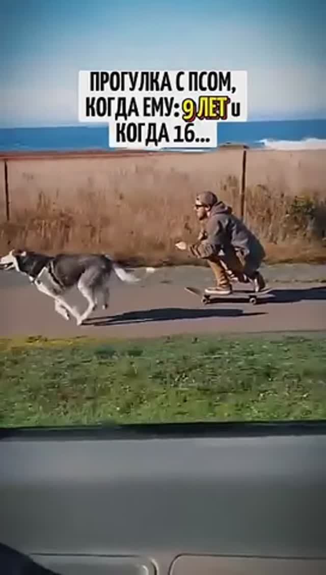 Прогулка❤️ псом в 9 лет и в 16