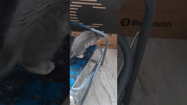 Счастье живет рядом с нами