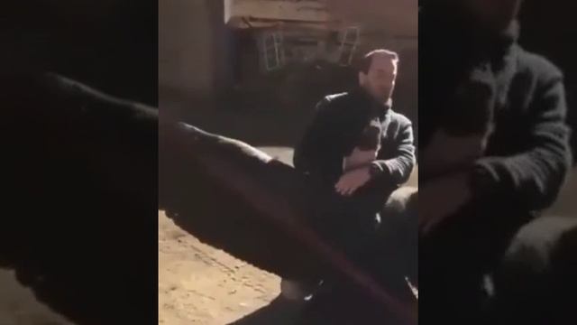 ПОСМОТРИТЕ КАКАЯ ОГРОМНАЯ ПРИВЕТСТЛИВАЯ ПТИЧКА