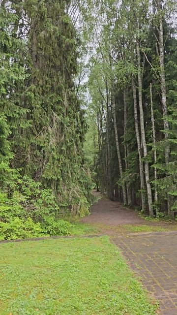 Лодейное поле. Lodeynoye Pole