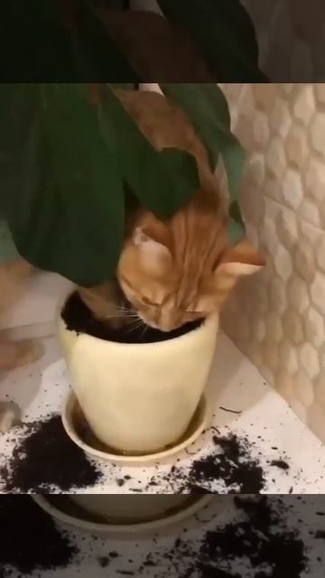 Заряжается😁