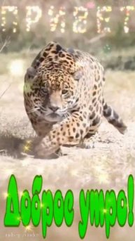 Доброе утро!) Замечательного дня!) #доброеутро