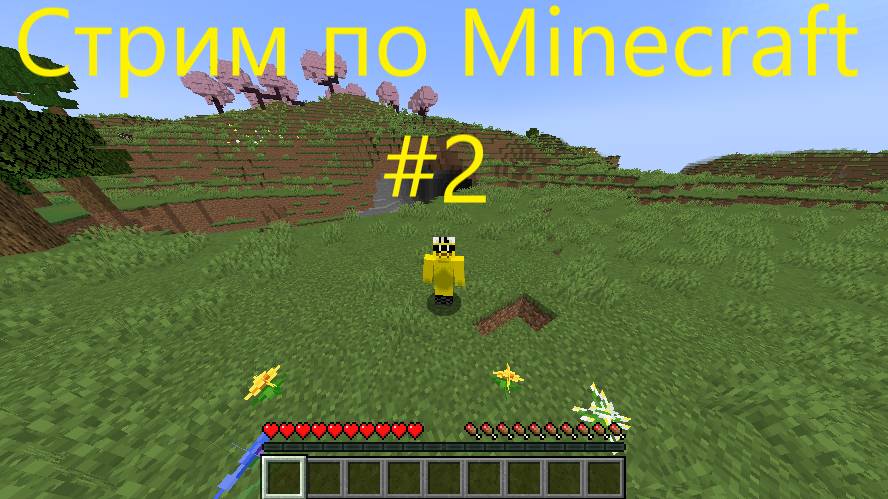 Стрим по Minecraft #2