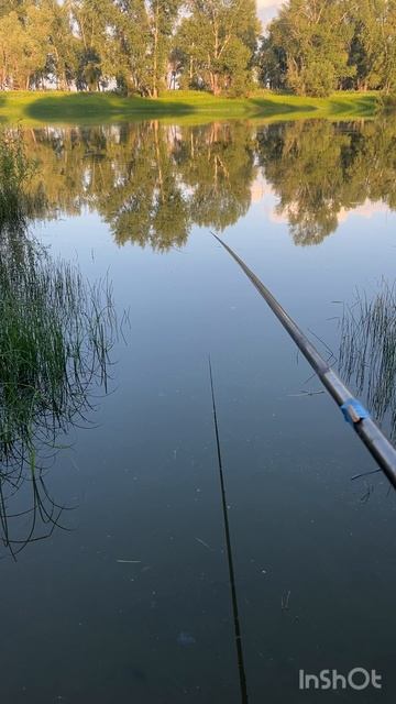 Завораживающая красота