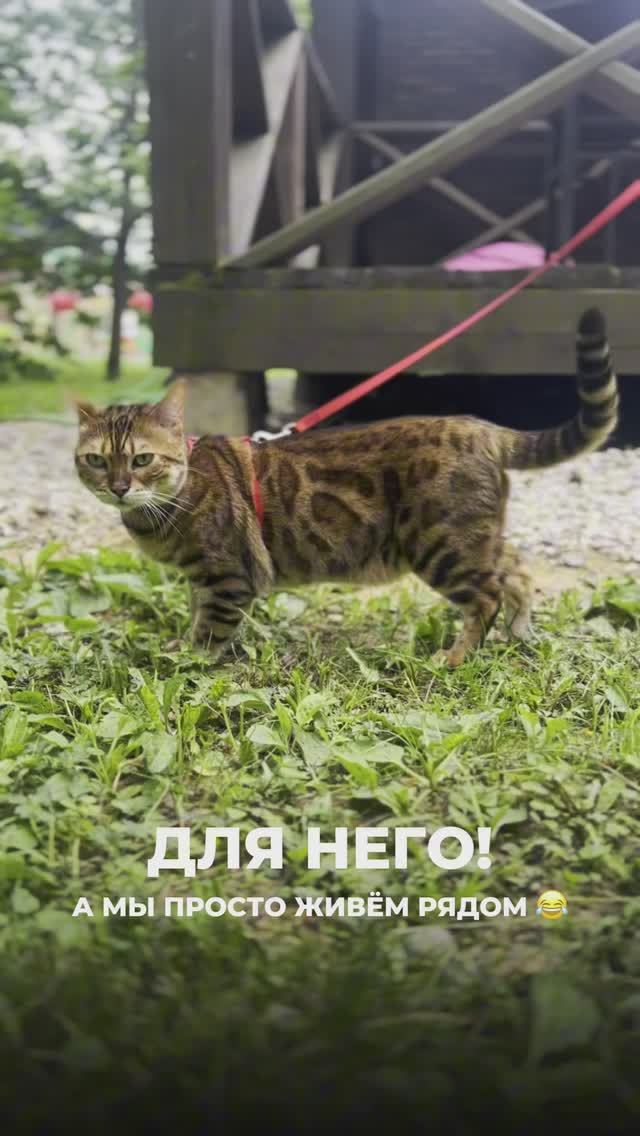 🏠 КОГДА ПОСТРОИЛИ ДОМ ДЛЯ СЕБЯ, А ЕГО ХОЗЯИНОМ СТАЛ...