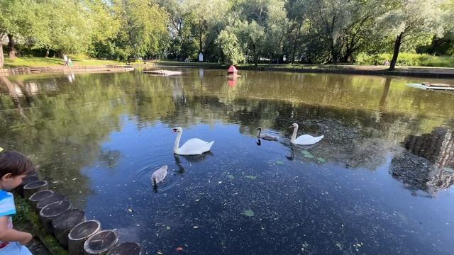 Николь и Стефан гуляют в Саду Будущего и на ВДНХ