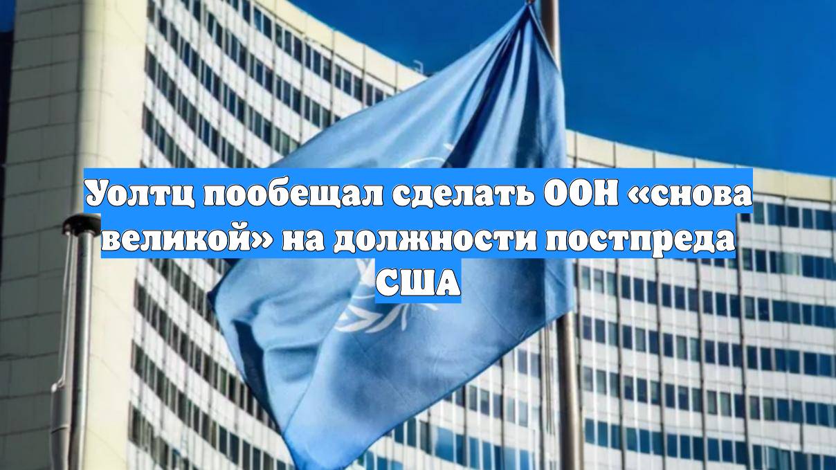 Уолтц пообещал сделать ООН «снова великой» на должности постпреда США