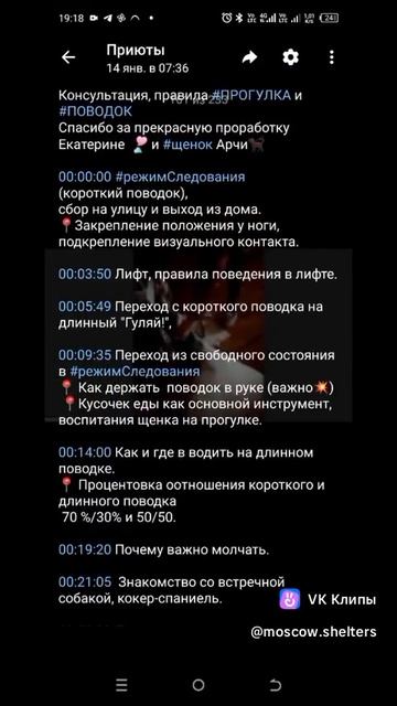 1000117221.mp4