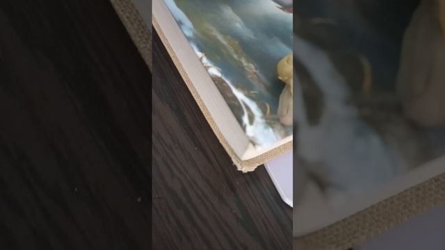 1000004930.mp4